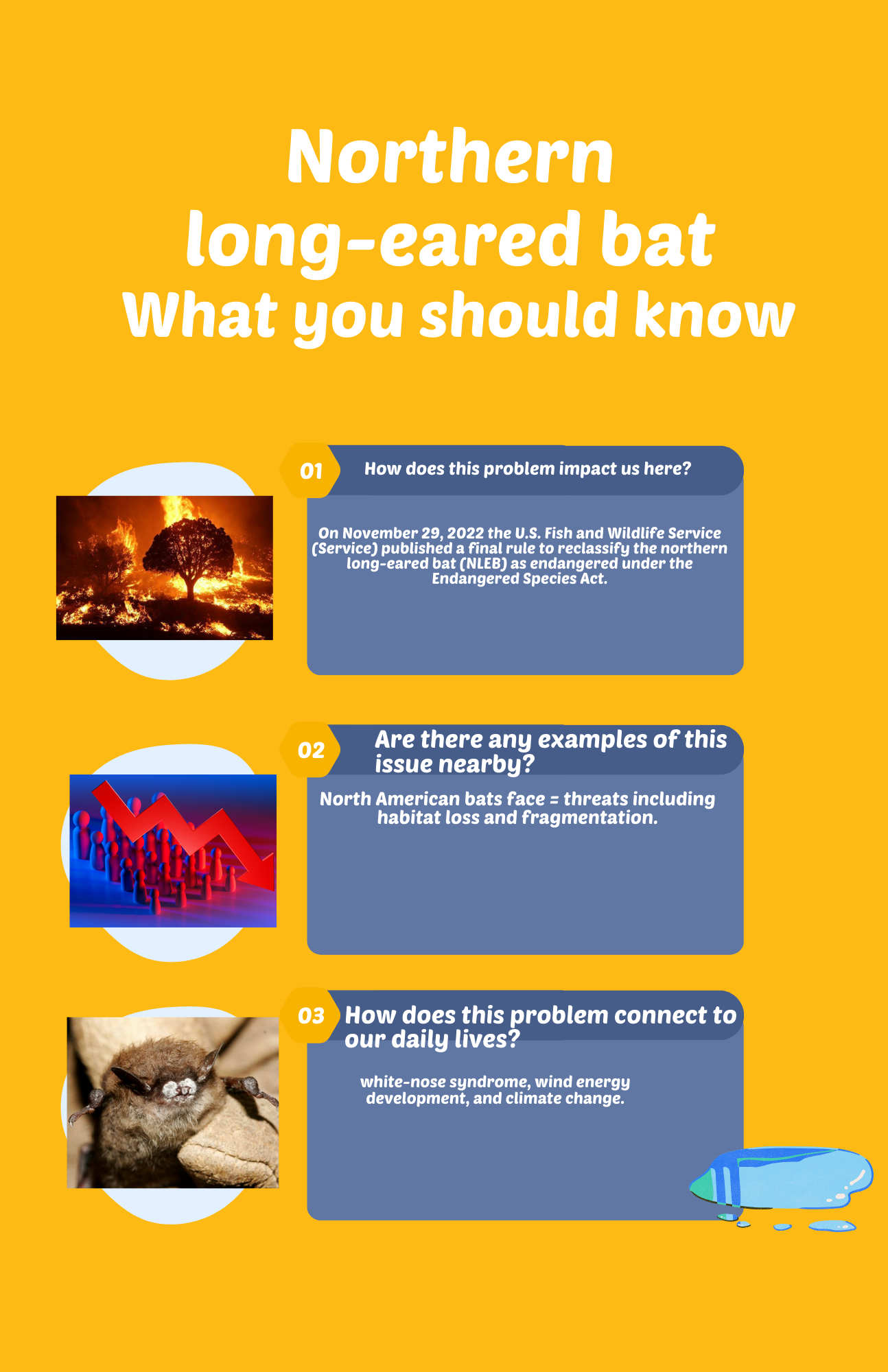 Efuntomi Infographic Three